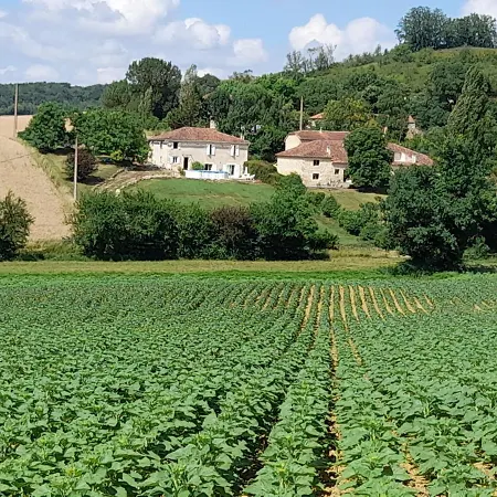 Les Collines De Bidouchac Larroque-Saint-Sernin