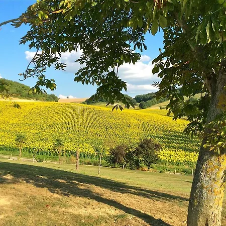 Les Collines De Bidouchac Larroque-Saint-Sernin